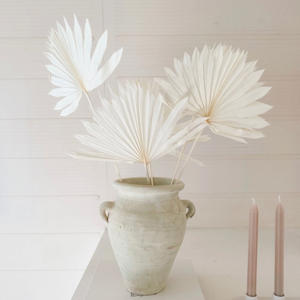 3 Bleached Palm Leaves - Dried Palm Fan